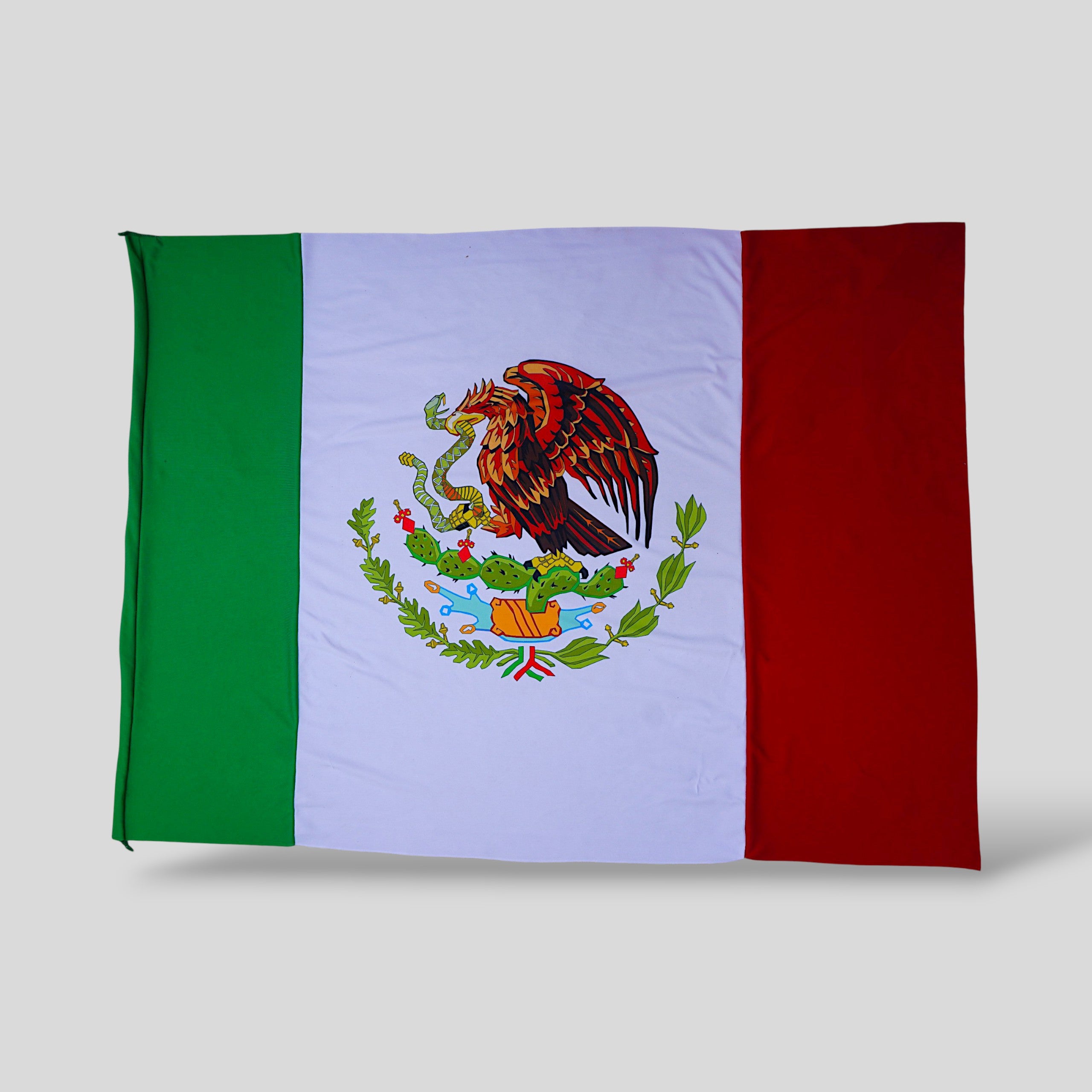 Bandera De México 1 Metro