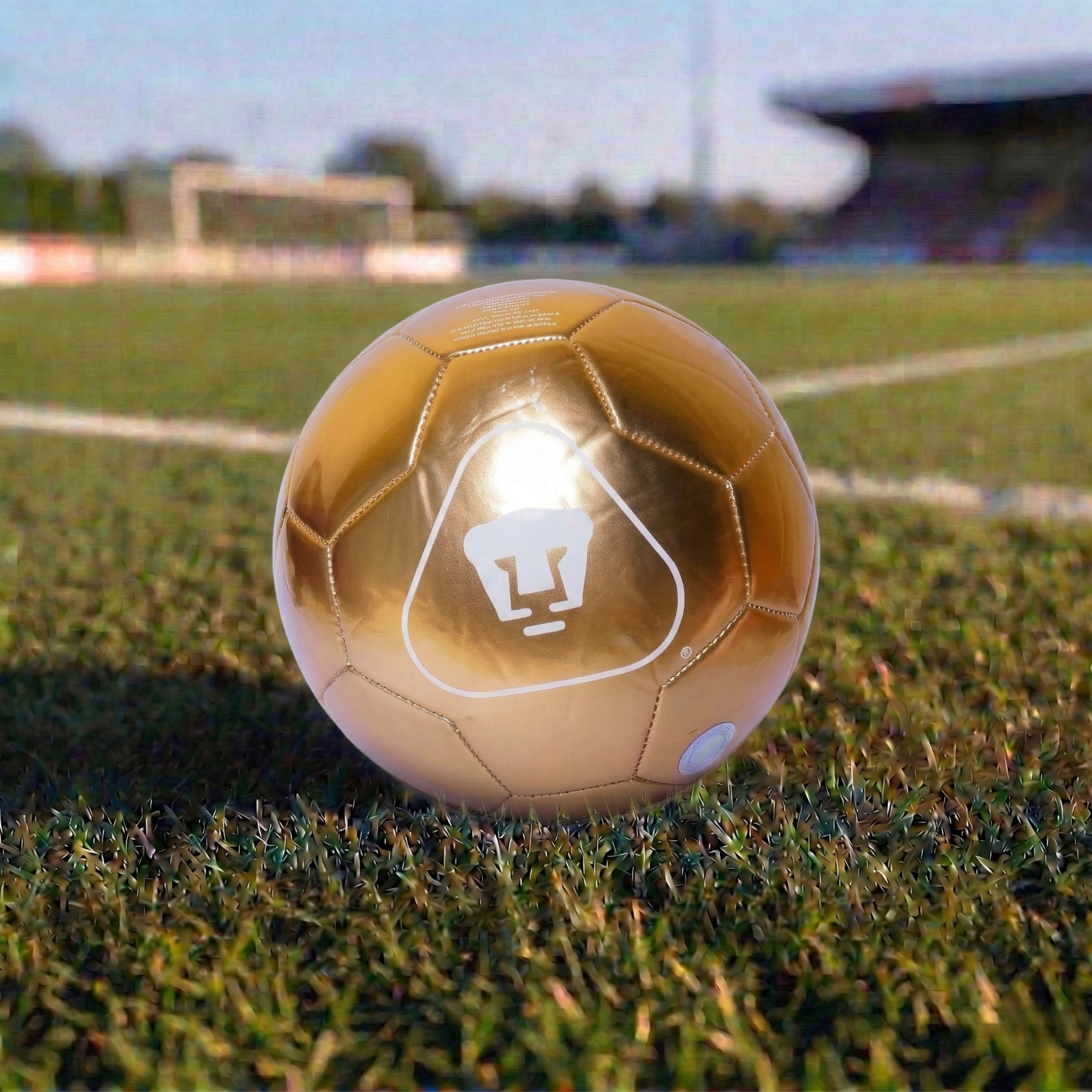 Balón fútbol tamaño 5 Pumas dorado cocido pasto recreativo entrenamiento
