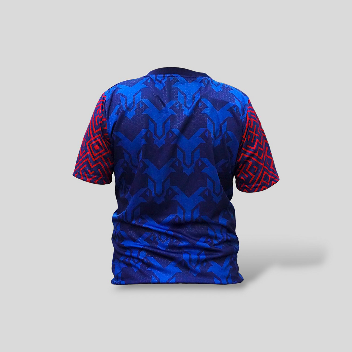 Jersey Playera Para Niño Chivas Guadalajara De Entrenamiento