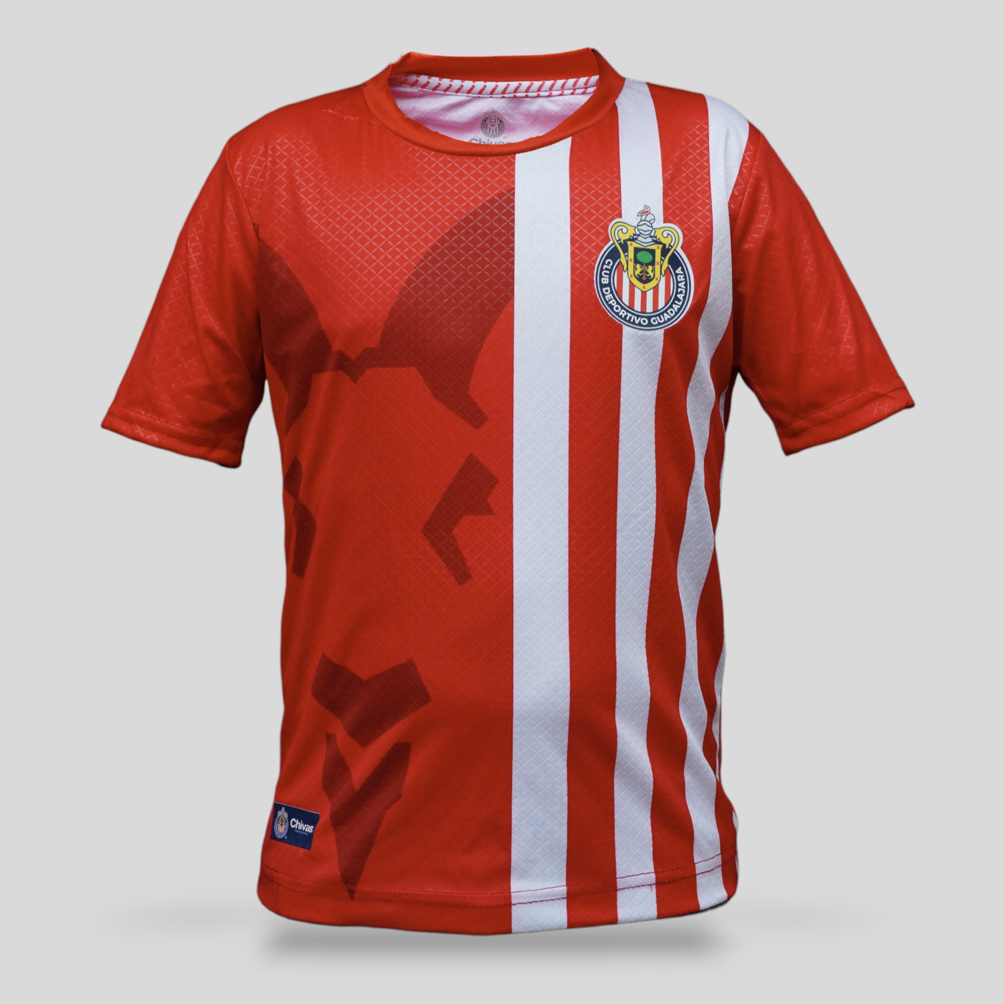 Jersey Playera Para Niño Chivas Guadalajara De Entrenamiento