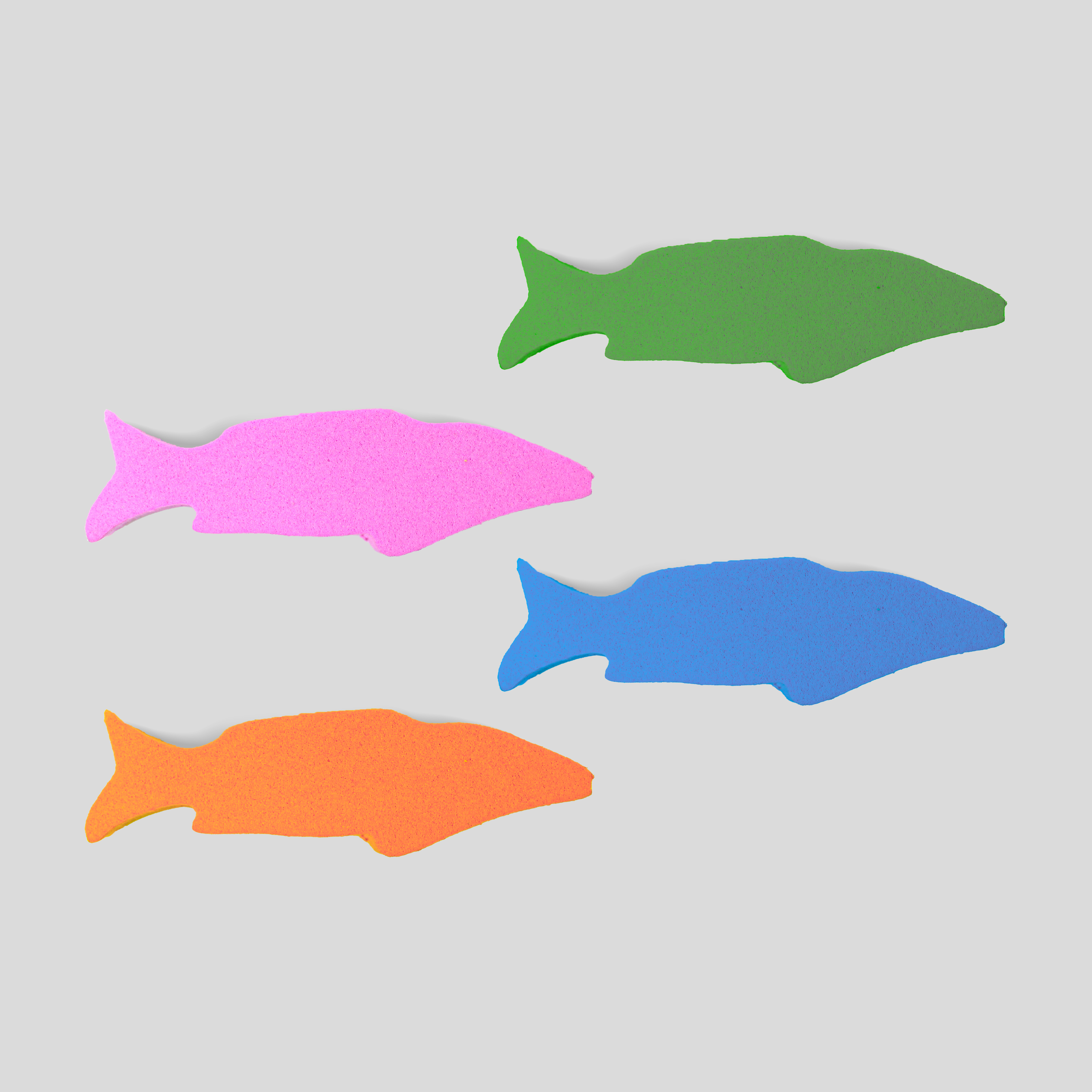 Tabla Barracuda para Natación, de Fomi Duradero y Ligero, Ideal para Entrenamiento y Técnica de Patada