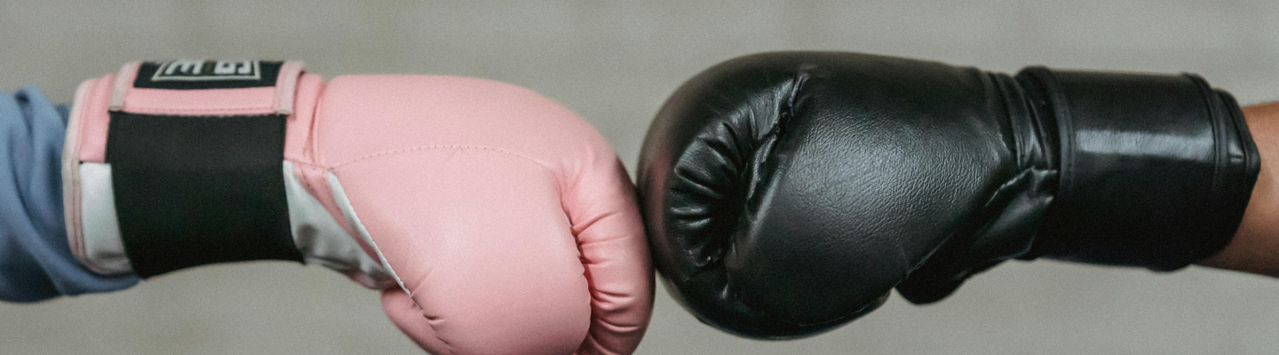 GUANTES DE BOXEO