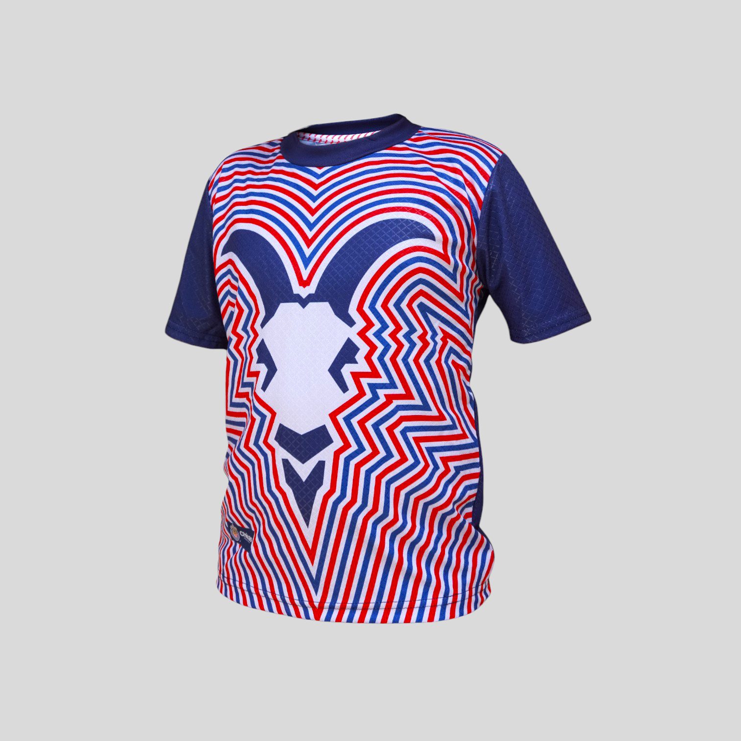 Jersey Playera Para Niño Chivas Guadalajara De Entrenamiento