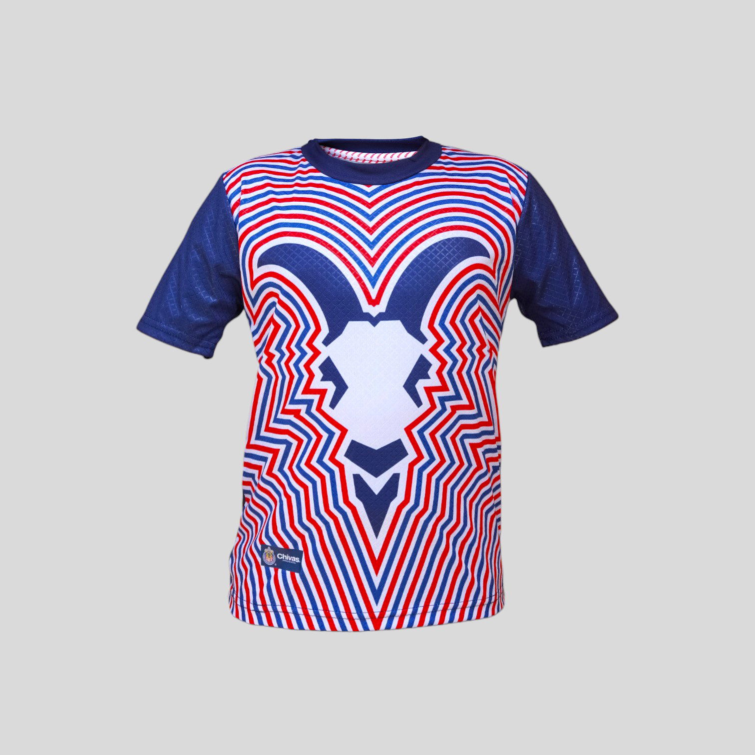 Jersey Playera Para Niño Chivas Guadalajara De Entrenamiento